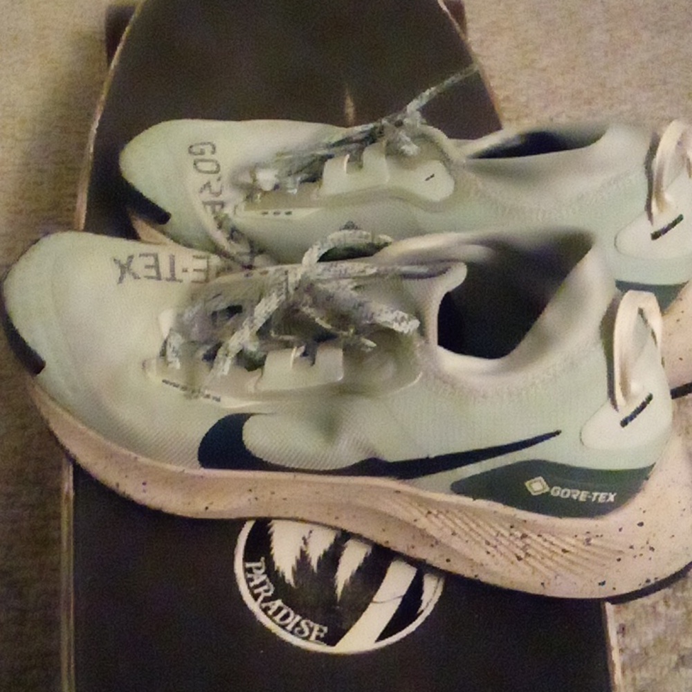 Womens Nike Pegasus Trail 3 Gore-Tex